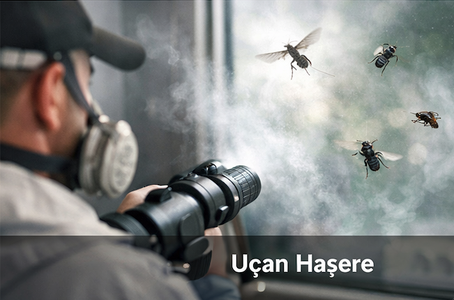 Sivrisinek İlaçlama